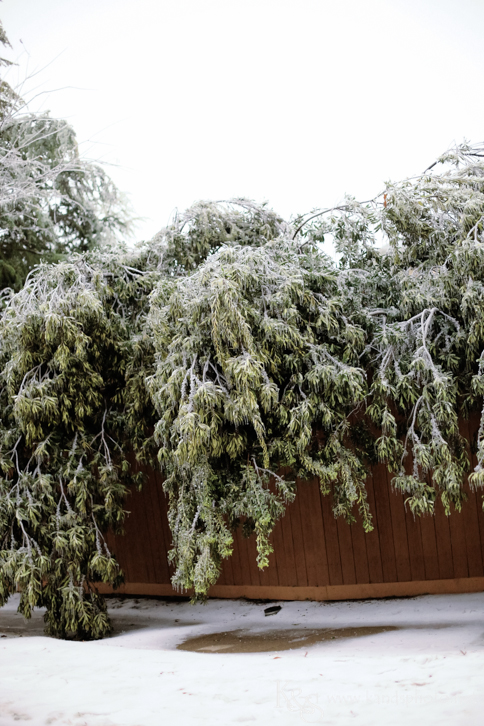 Dallas Wedding Photographers - K & S Photography